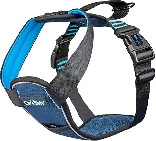 CarSafe Crash Tested Dog Safety Harness | Size S | Crash Tested to 32Kg/70lbs, Safely Secure Dog in the Car, Comfortable and Padded Design, for Toy, Small, Medium & Large Dogs