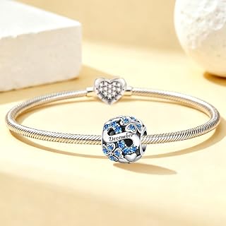 1PC Silver Fashion Birthstone Charm Pendant for Women DIY Jewelry Making and Daily Outfit Matching Jewelry Decoration for Women Gift for Mother (January)