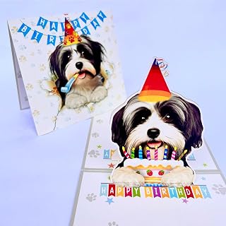 Havanese Birthday Card 3D Pop Up — Havanese Dog with Party Hat & Birthday Cake, Funny Birthday Card for Havanese Lovers, Havanese Mom Dad Gift, 6x6 Inch, Includes Envelope