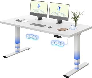 FLEXISPOT Höhenverstellbarer Schreibtisch mit Dualmotor 160×80 cm