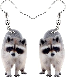 Pretty Realistic Acrylic Raccoon Earrings Jewelry for Women Jewelry Gifts Charms Accessories
