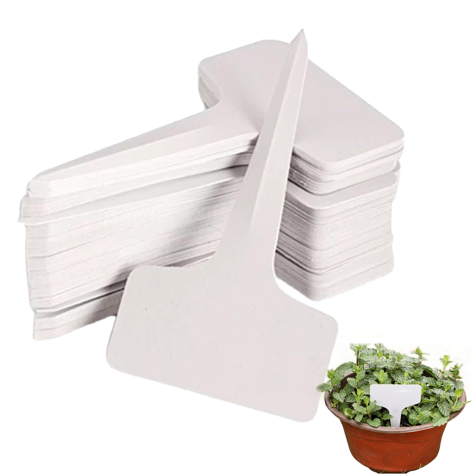 60 Pcs 6 x10cm T-Type Plastic Plant Tags Nursery Garden Labels