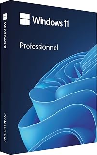 Microsoft Windows 11 Professional | 11 64-bit | English | USB