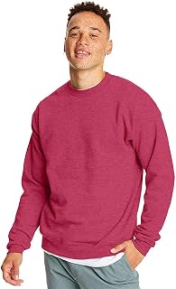 Hanes Men's Men's EcoSmart Sweatshirt Sweatshirt (Pack of 1)
