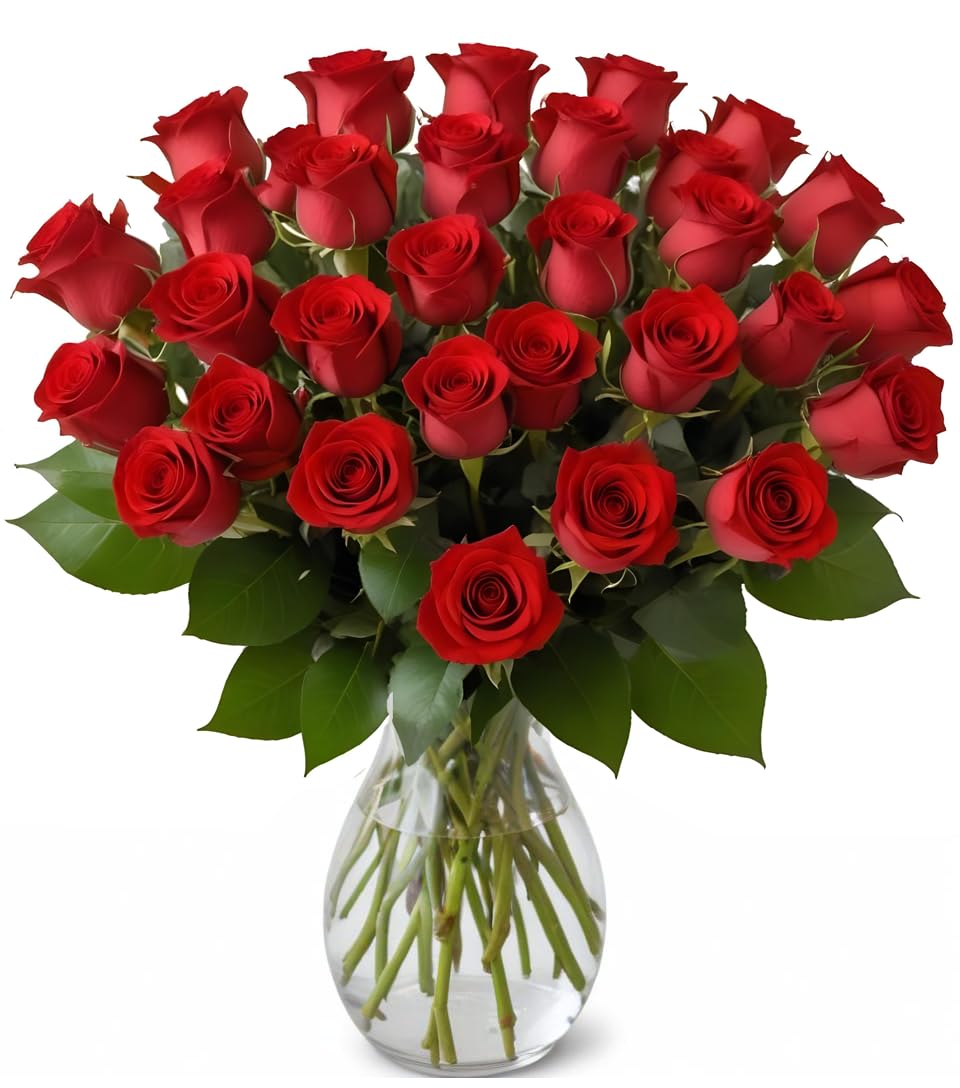 25 Red Roses in a vase | Arabella Bouquets | Real Fresh Flowers for Delivery, Gi
