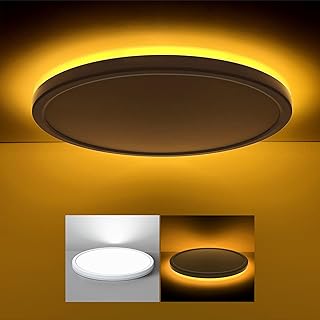 Matane 12 Inch LED Flush Mount Ceiling Light with Night Light, 3000K/4000K/5000K Dimmable Ultra Thin Round Ceiling Lamp, 24W 2400LM Light Fixture for Bedroom Hallway Kitchen Laundry Room, White