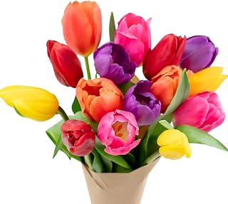 Stargazer Barn 15 Stem Rainbow Tulips Bouquet - Without Vase | Fresh Cut Flower Delivery, Hand-Tied in the USA, Gift for Birthday, Anniversary, Sympathy or Home Decor