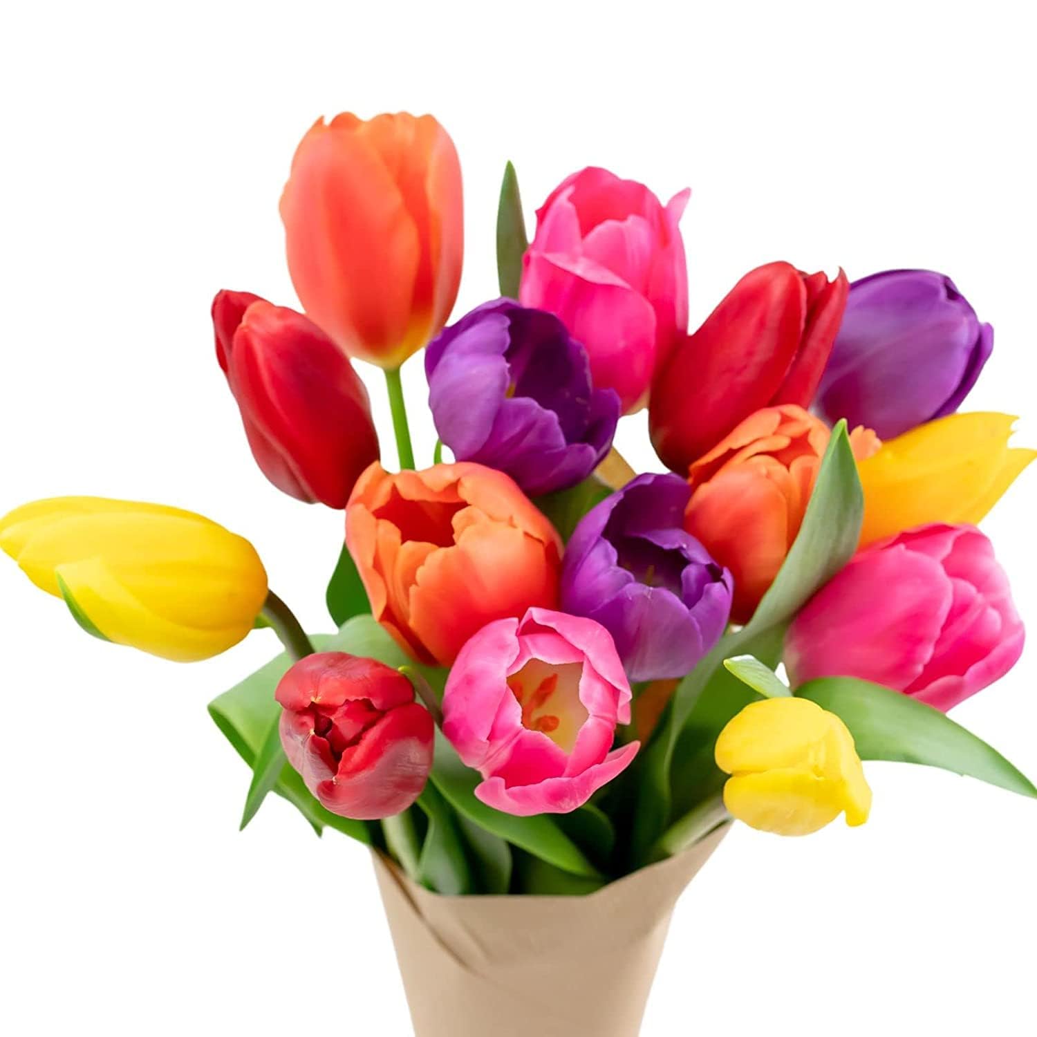 Stargazer Barn 15 Stem Rainbow Tulips Bouquet - Without Vase | Fresh Cut Flower 