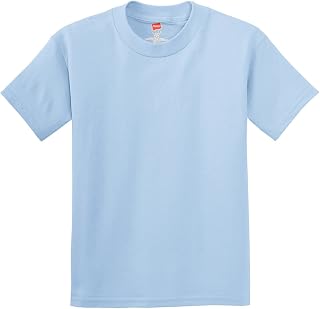 Hanes 5450 Tagless Youth T-Shirt
