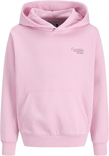 JACK & JONES Hood Jjroar JNR Men's Hoodie