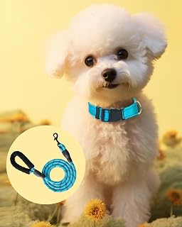 Reflective Dog Collar with Leash, Adjustable Nylon Dog Collar Set for Medium Dogs, Soft Padded Handle for Comfort and Safety (Blue, L: 17-23 inch)