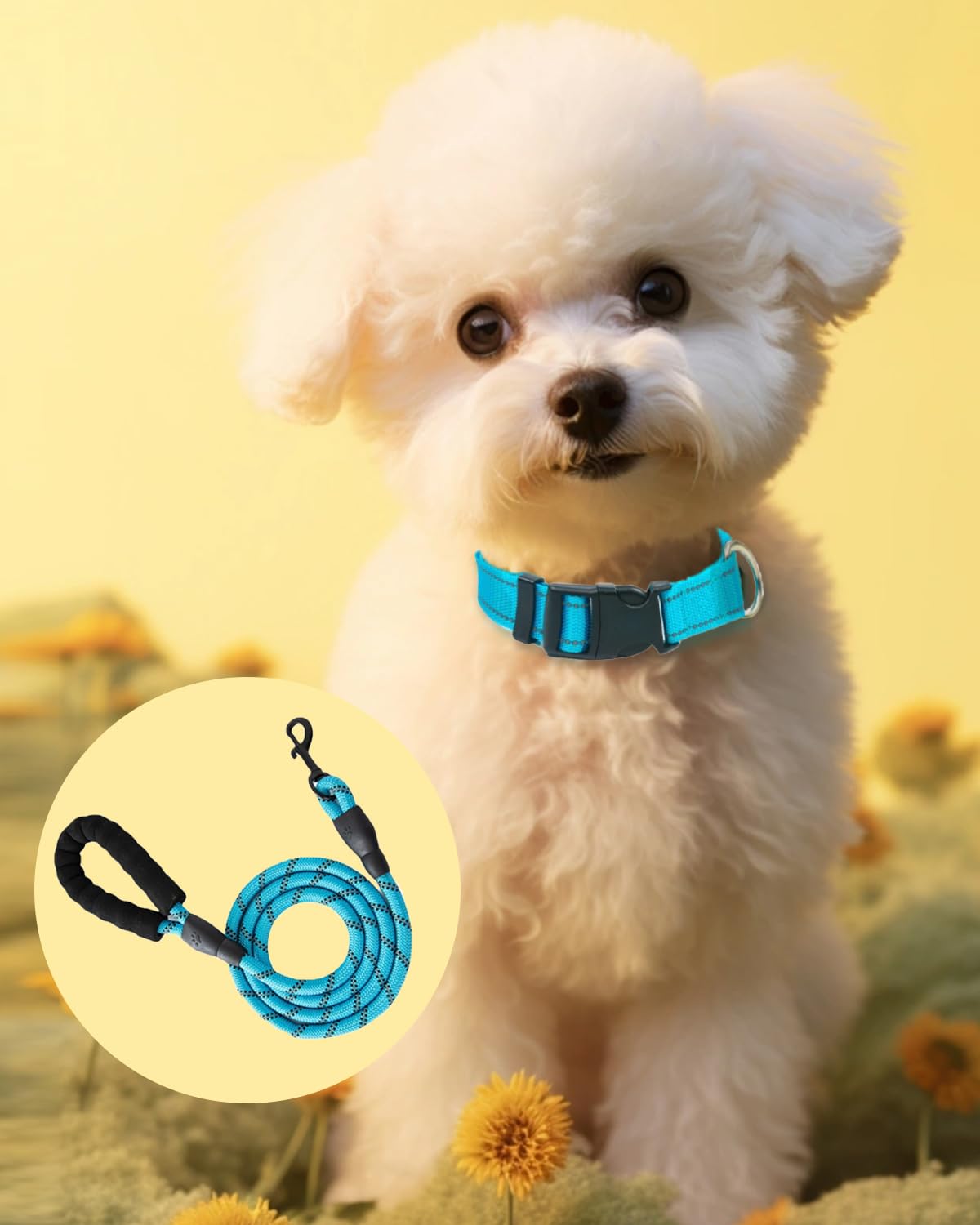 Reflective Dog Collar with Leash, Adjustable Nylon Dog Collar Set for Medium Dog