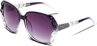 FEISEDY B2289 Women's Polarized Large Classic Glasses