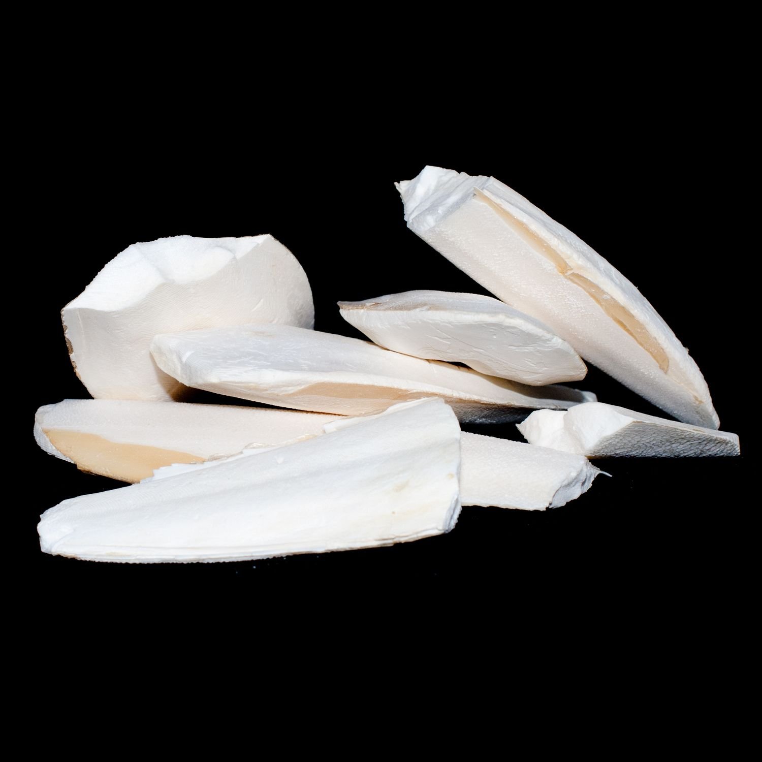 Pet Ting Broken Cuttlefish Pieces, 100g | For Reptiles, For Tortoises, For Terra