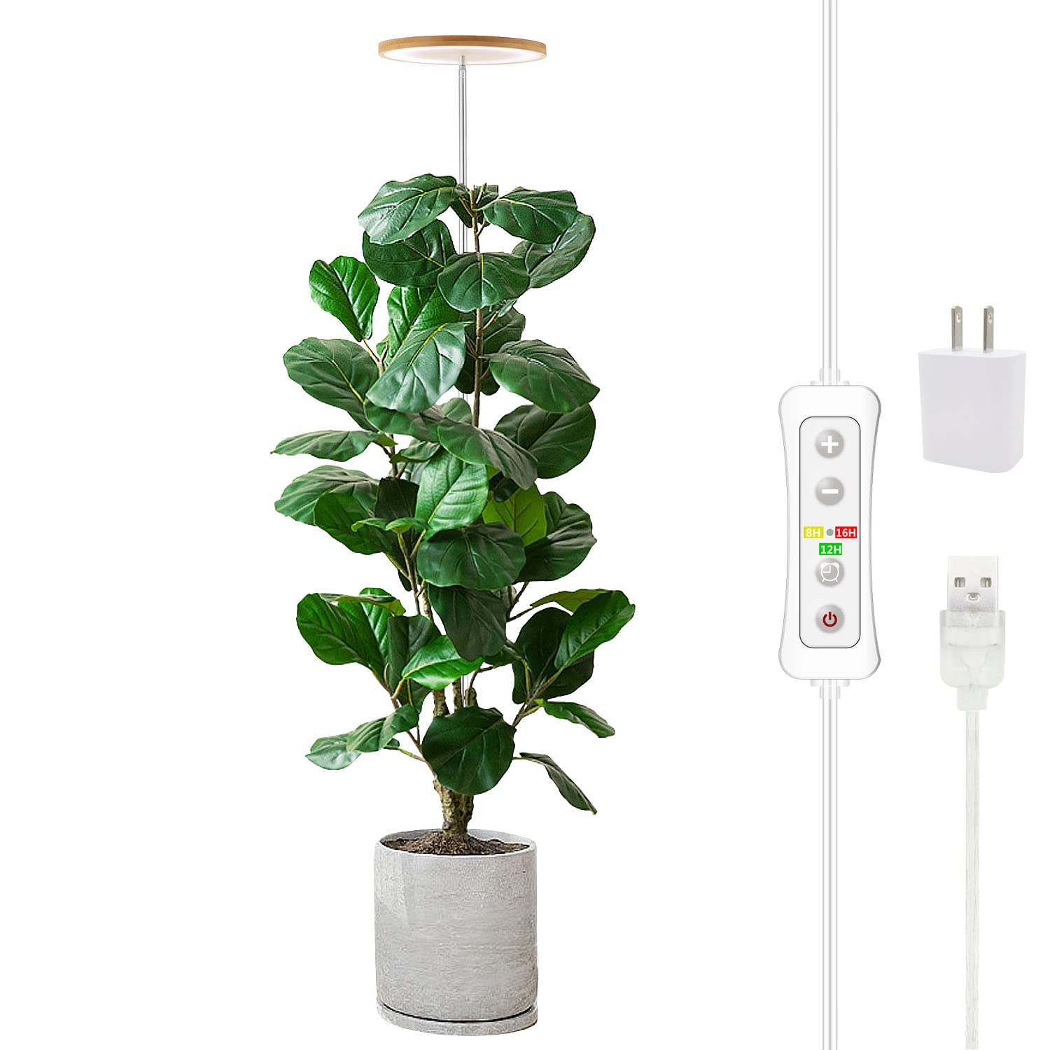 yadoker Grow Lights for Indoor Plants, Full Spectrum 6.3" Halo Plant Light | Bam