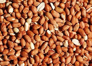 Bird Whole Peanuts - Quality Fresh Feed for Wild Birds Garden (10KG)
