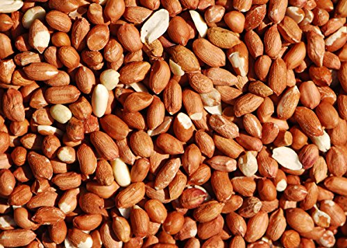 Bird Whole Peanuts - Quality Fresh Feed for Wild Birds Garden (10KG)