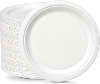 Rigid Disposable Paper White Plates 100 Pack 9 inch, Eco-Friendly for BBQ