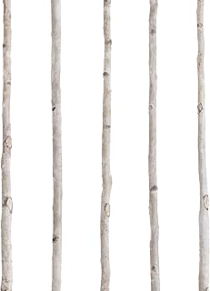 Fiwochic 5 Pcs White Birch Poles 6 ft 1-1.5" Diameter Natural Wood Sticks | Natural White Bark Texture, Birch Branches for Crafts Projects, Home Decor Holiday DIY, Rustic Farmhouse Style Sticks
