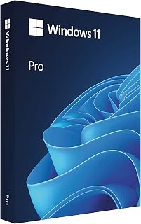 Microsoft Windows 11 Pro (USB)