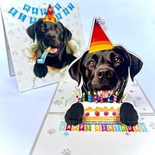 Black Labrador Retriever Birthday Card 3D Pop Up — Black Lab Dog with Cake & Party Hat, Funny Birthday Card for Dog Lovers, Labrador Gift, Includes Envelope