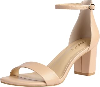 PIZZ ANNU Women's Open Toe Ankle Strap Low Block Chunky Heels Sandals Party Dress Pumps Shoes Strappy Buckle Sandals with 2.6" Tall Thick Heel Design