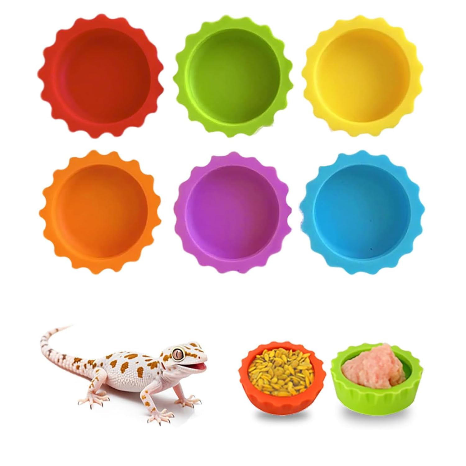 WEZCHUGHAOL 6 Colorful Reptile Food and Water Feeding Cups | For Crested Gecko, 