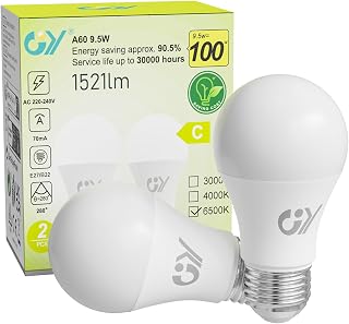 GY LED Bulbs E27 Cold Light 6500K – 9.5 W Equivalent to 100 W – 1521 Lumens, Not Dimmable – A60 Spherical LED Bulb Box of 2 Units
