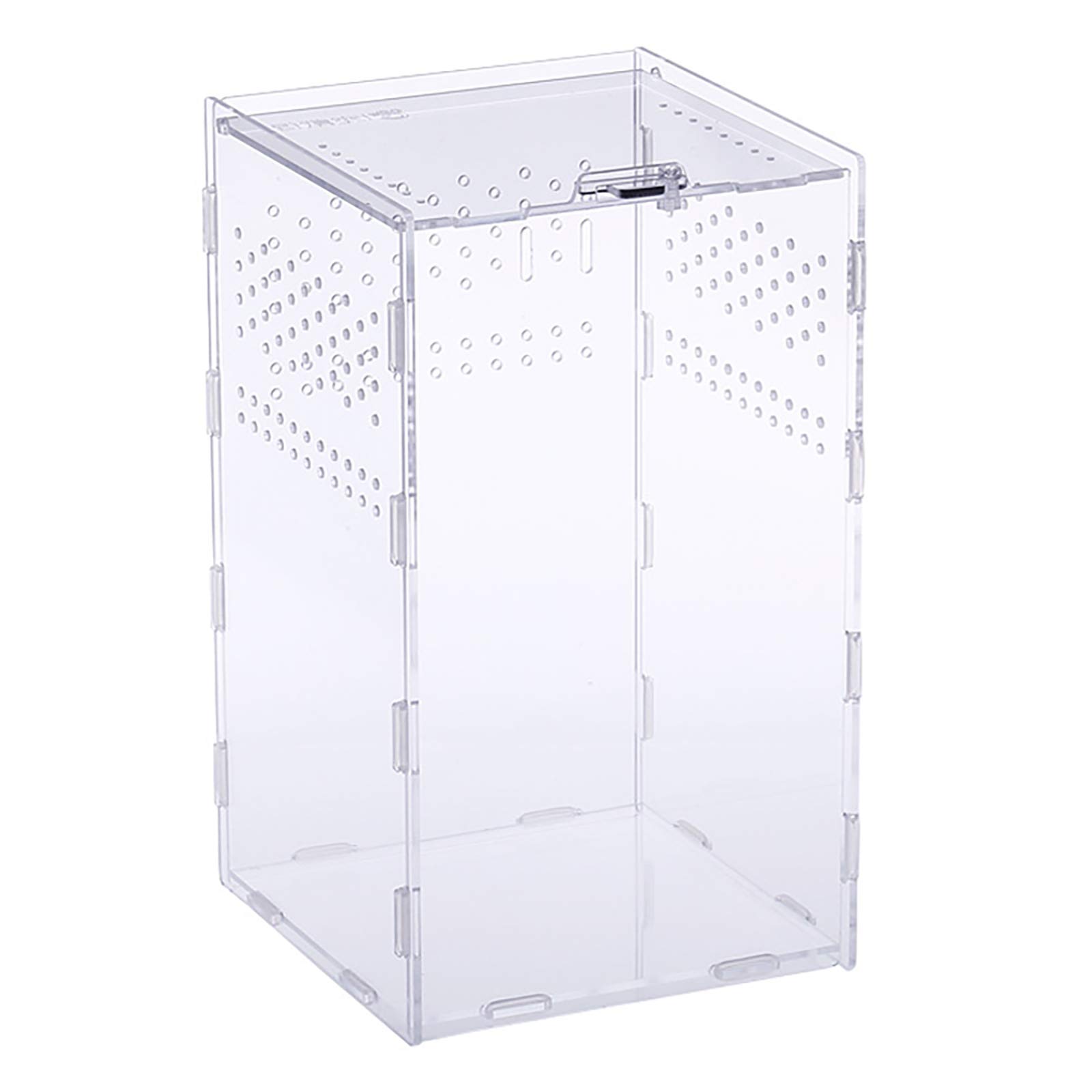 Acrylic Jumping Spider & Stick Insect Enclosure, Escape-Proof Terrarium | Gap-Fr