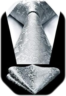 HISDERN Paisley Ties for Men Solid Tie Handkerchief Floral Men's Necktie & Pocket Square Set Wedding Classic Mens Ties