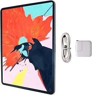 Apple 2021 11-inch iPad Pro (Wi-Fi, 256GB) - Space Gray (Renewed)