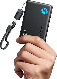 INIU Power Bank, Small 45W Fast Charging 10000mAh USB C External Battery