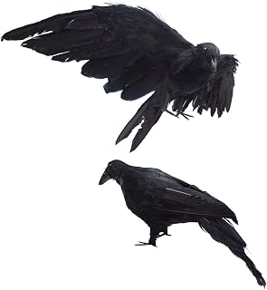 Etistta 2-Pack Realistic Crows Lifesize Extra Large Handmade Black Feathered Crow for Halloween Decorations Birds, L (13 inch+12 inch)