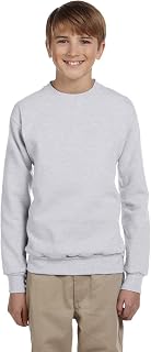 Hanes Men's Opaque Sweatshirt