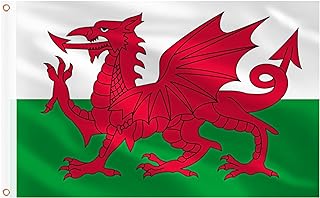 AhfuLife Welsh Flag 5ft x 3ft for St.David's Day Decorations, 1Pcs Large Wales Dragon Flag Double Side with Brass Eyelets for Rugby Football World Cup Garden Street Party Accessories