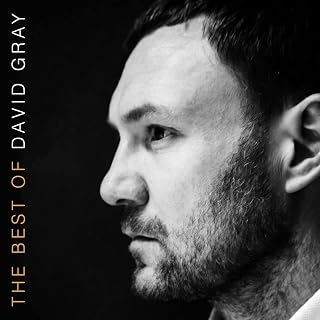 The Best Of David Gray (Vinyl)
