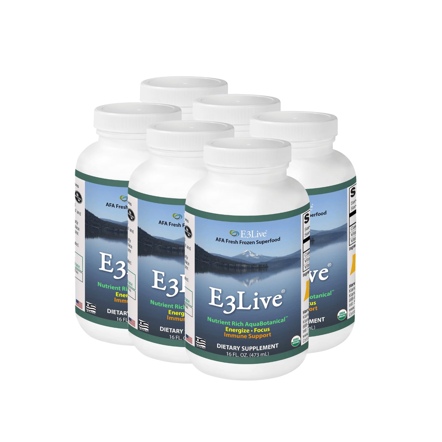 E3Live® Original - Organic Blue-Green Algae Superfood, Fresh-Frozen 16oz/473ml 8