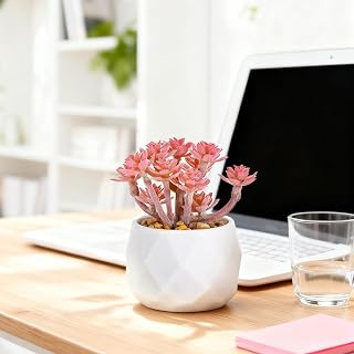 Artificial Succulent Plants Diamond Shaped Pot Fake Succulents Home Office Decor Realistic Succulents (Pink)