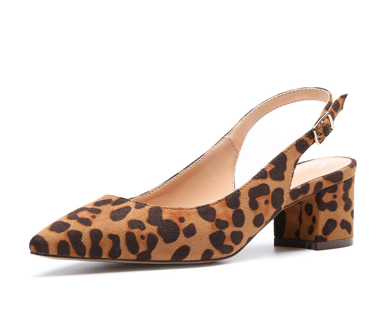 Castamere Classic Pumps Shoes Women Heels Party Low Heel Sandals for Women 5 CM