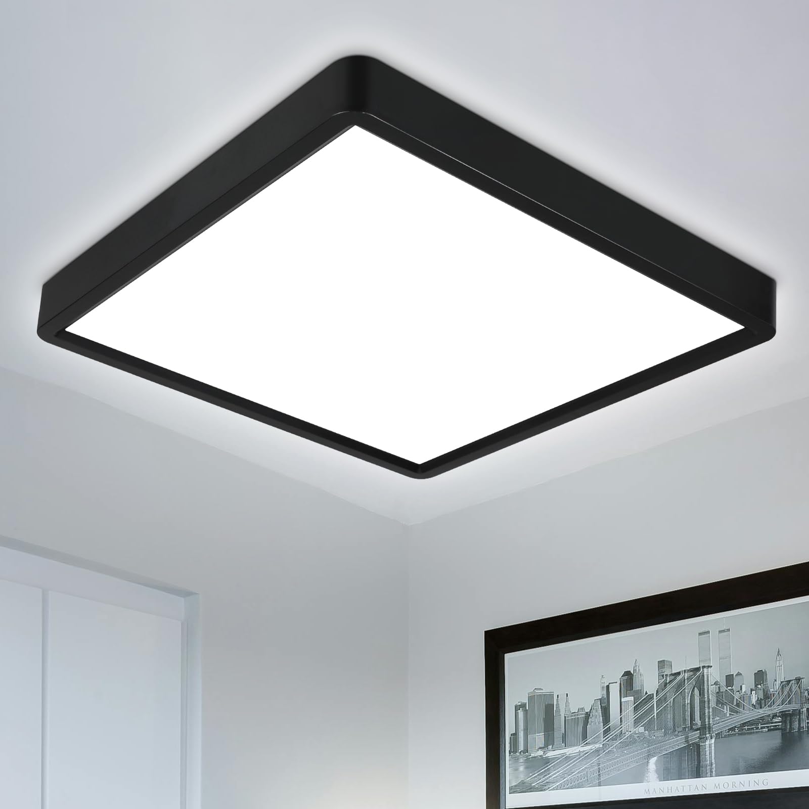 Defurhome LED Ceiling Light,24W 2200LM,150W Equivalent,5000K Daylight White,Wate