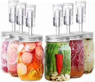 Fermentation Lids, 6 Set Fermentation Kit for Wide Mouth Jars, 6 Stainless Steel Fermenting Lids with 6 Silicone Grommets, 6 Airlocks, 6 Silicone Rings(Jars Not Included)