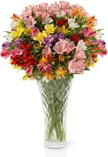 Aquarossa Farms – Fresh Cut Flowers for Delivery, Gifts for Graduation, Birthday, Anniversary, or Just Because – 24 Stem Peruvian Lilies