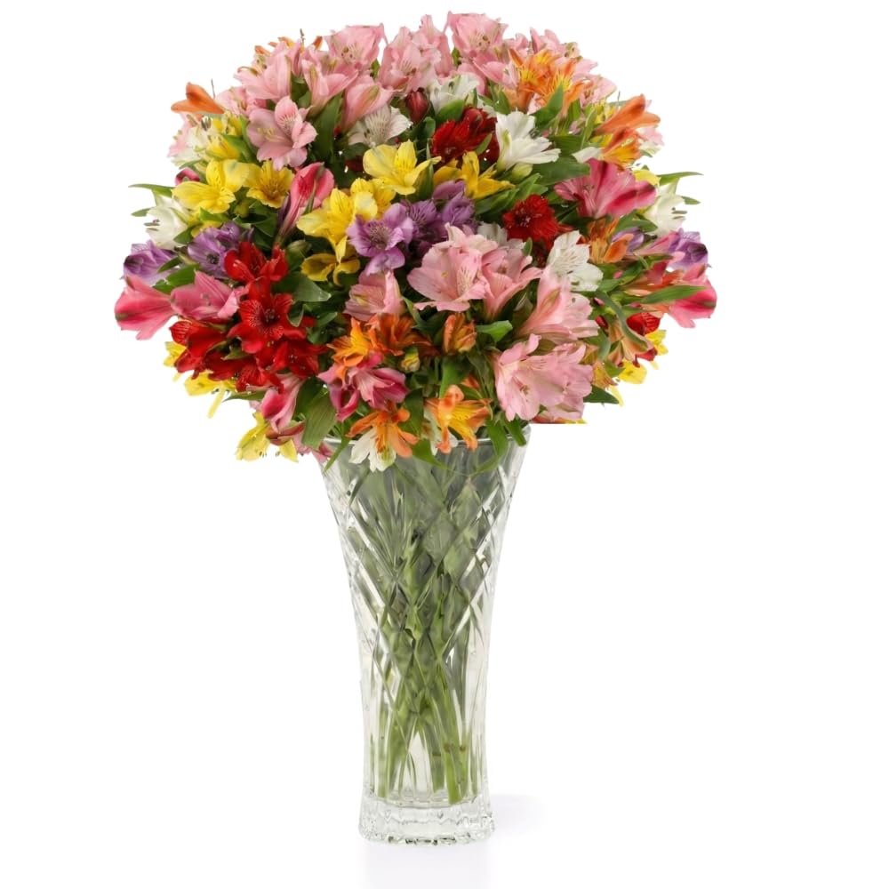 Aquarossa Farms – Fresh Cut Flowers for Delivery, Gifts for Graduation, Birthday