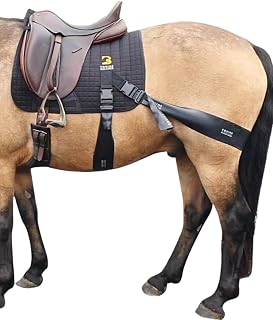 System | Pro Grade Saddle Pad Training Aid for Horses | Dressage