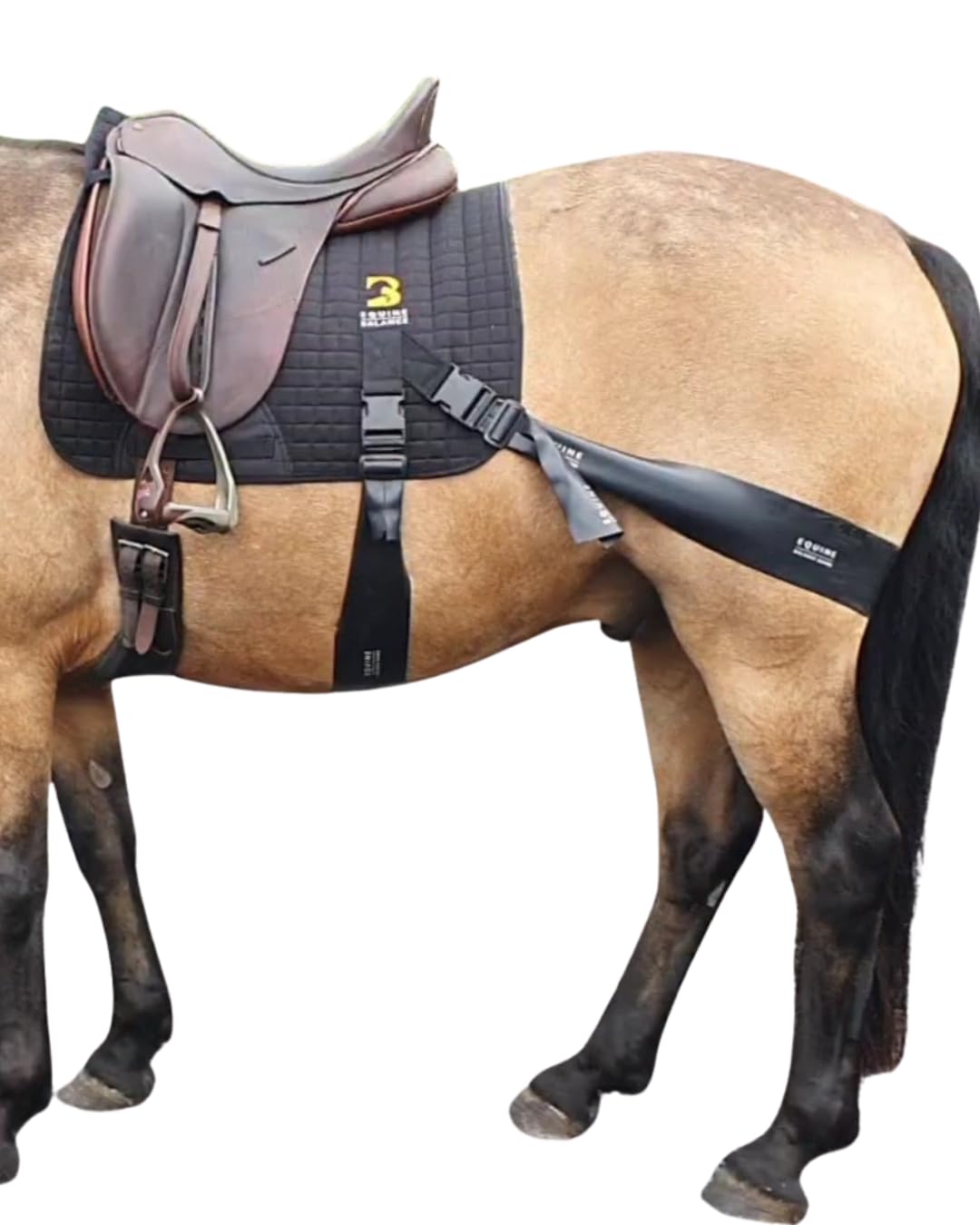 System | Pro Grade Saddle Pad Training Aid for Horses | Dressage