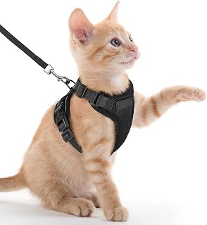 Cat Harness and Leash for Walking, Escape-Proof Safe Adjustable Kitten Vest, Easy Control Soft and Comfortable Jacket with Reflective Strips, Black