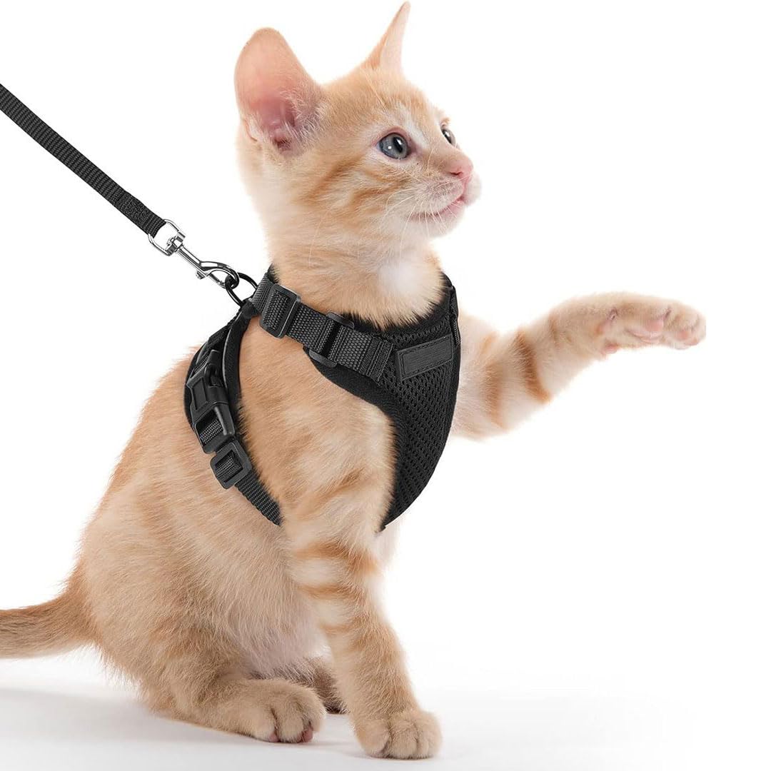 Cat Harness and Leash for Walking, Escape-Proof Safe Adjustable Kitten Vest, Eas