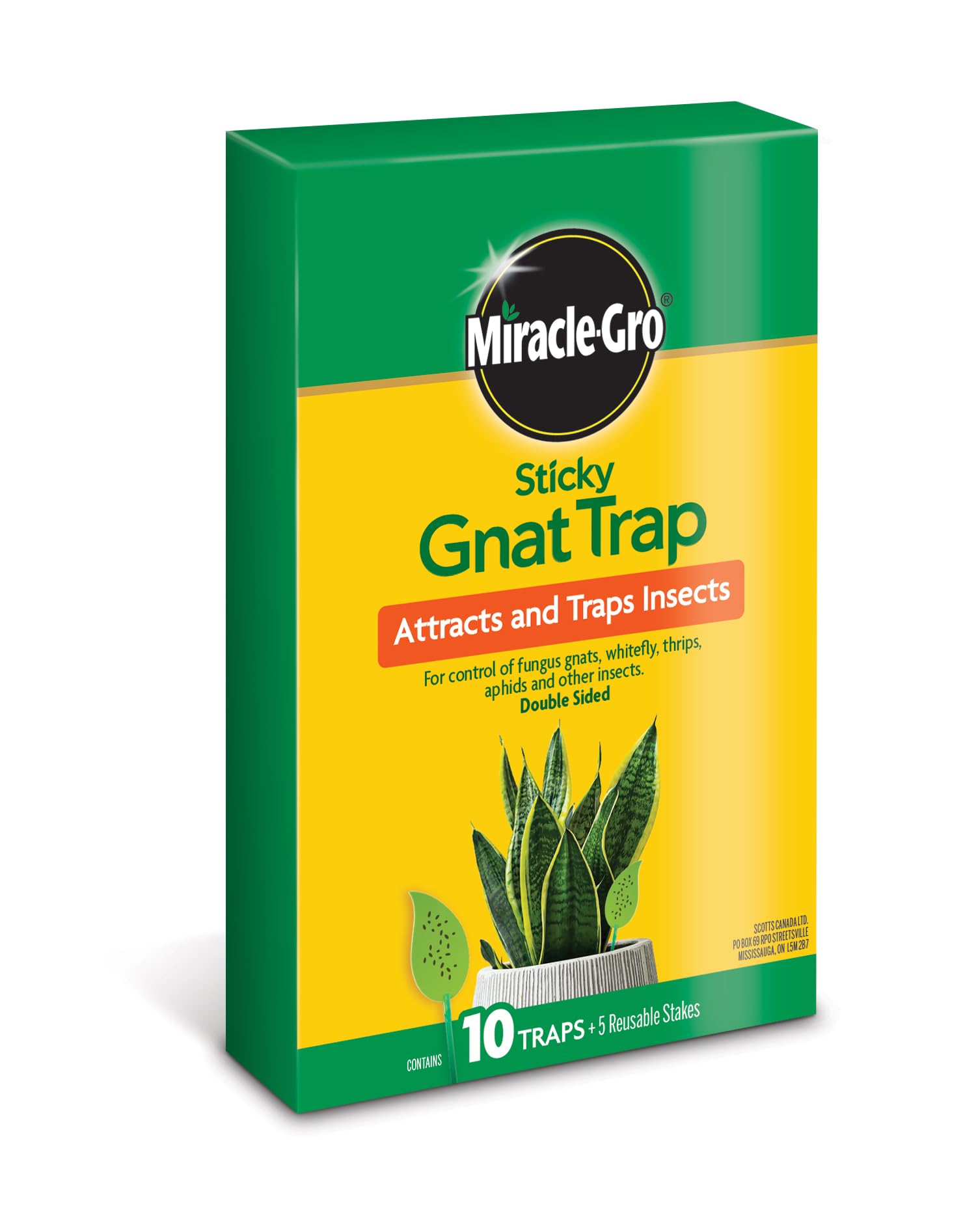 Miracle-Gro Sticky Gnat Trap, Gnats and Fruit Flies, 10 Count, 1 Set