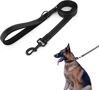 Reflective Nylon Dog Leash for All Dog Breeds - Heavy Duty Adjustable Lead, Padded Handle, Night Safety for Small and Large Dogs (4FT, Black)