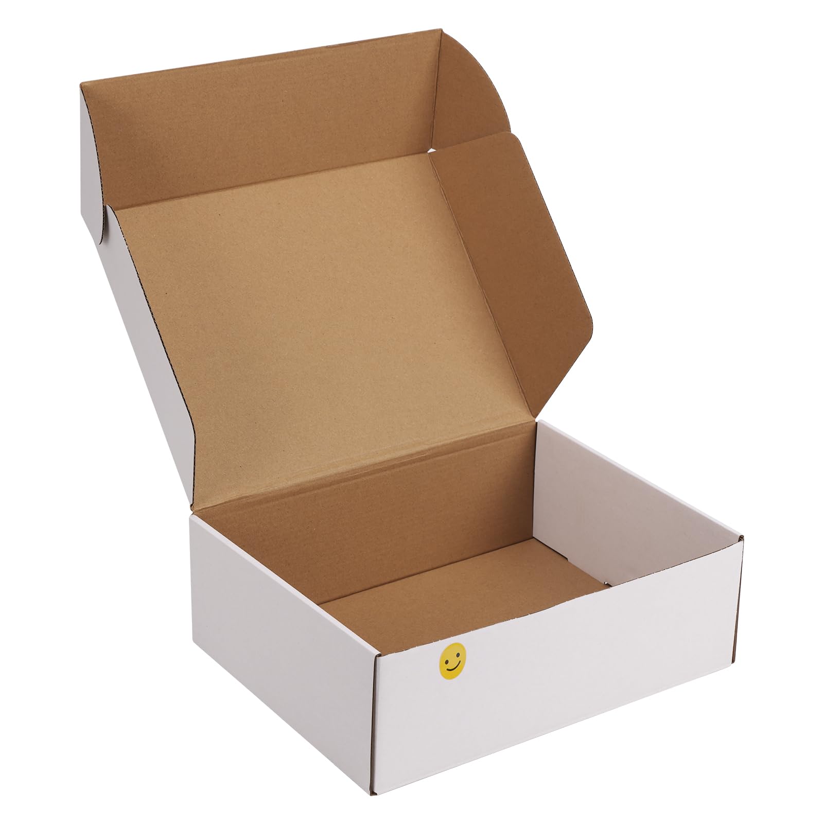 RLAVBL 12x9x4 Shipping Boxes Set of 1, White Corrugated Cardboard Box for Packin